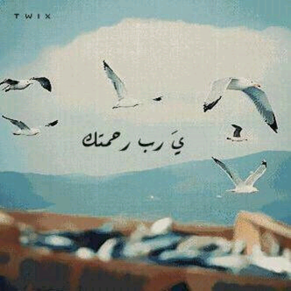 souhadream's tweet photo. يا رب http://t.co/mJFXlFGhq2