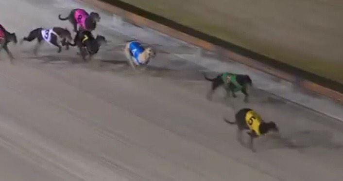 SurepickRatings's tweet image. #5 , "Bella's Revenge" Rce 5 Mandurah was a "SurePick" - @SurepickRatings @$7.00 the win - #wearethepeople