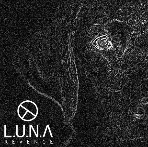 jakartanetwork.com tweet media