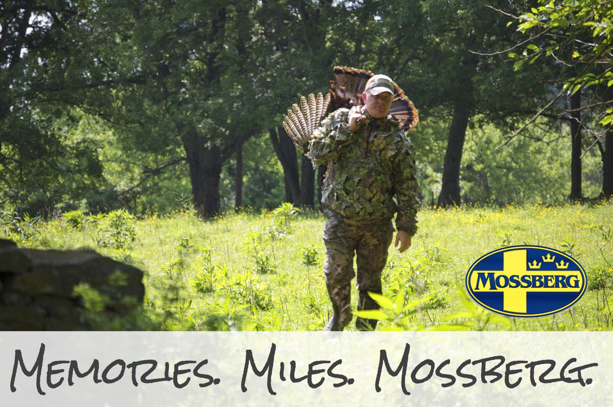 Mossberg tweet media