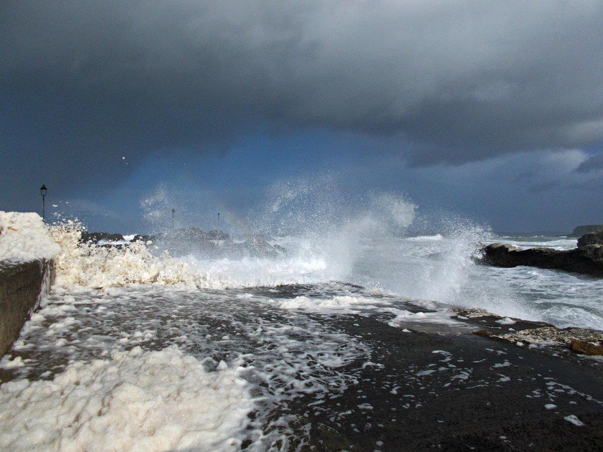Karenann's Photography Ballycastle tweet media
