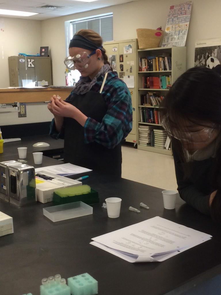 lindsaybcole's tweet photo. Alu PCR is here! Loving us some biotech :) #swishandspit #apbiochat #flipclass @KennettHighScho http://t.co/fkIiy0J8YB
