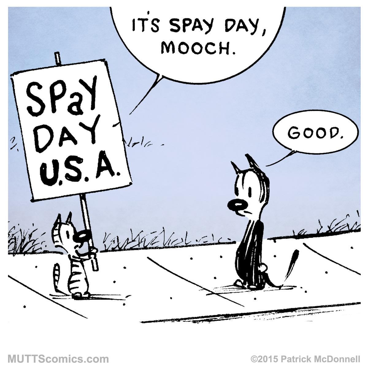 MUTTScomics's tweet image. Don't forget to #spay your pets. World #SpayDay 2015!