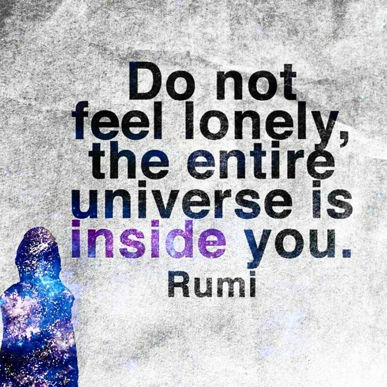 IntrovertGuide's tweet image. instagram.com/introvertsurvi…