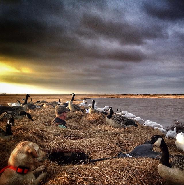 ZinkCallsAvianX's tweet photo. @FaFaShelby has been editing up our latest goose hunt with @PTOutfitters We can't wait to show you! http://t.co/qulkLXAEWb