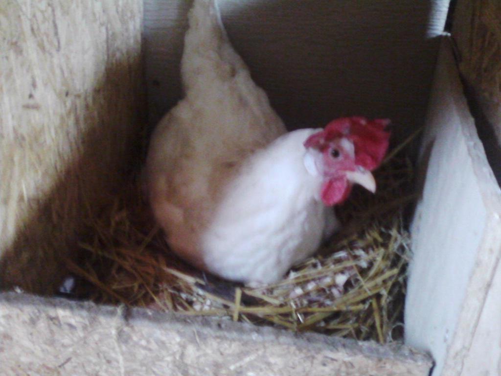 thefabflock's tweet photo. This is where the magic happens. http://t.co/wGu7VRS0Fx