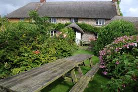 ShaveCrossInn tweet media