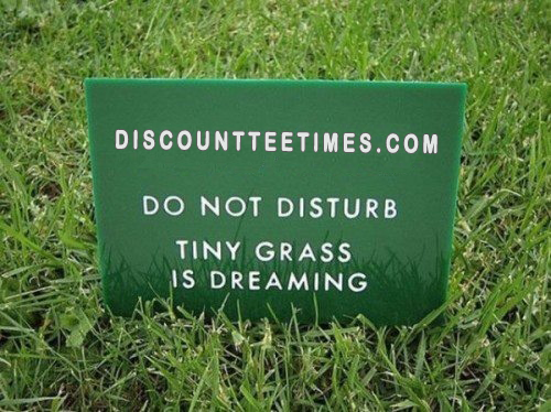 DTT_Golf tweet picture