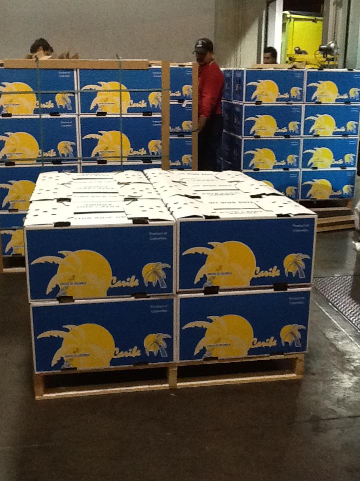 Empaques de exportacion, frutas exóticas, Physalis, Purpple passion fruit, Pitahayas, Tamarillos Feijoas, entre otros