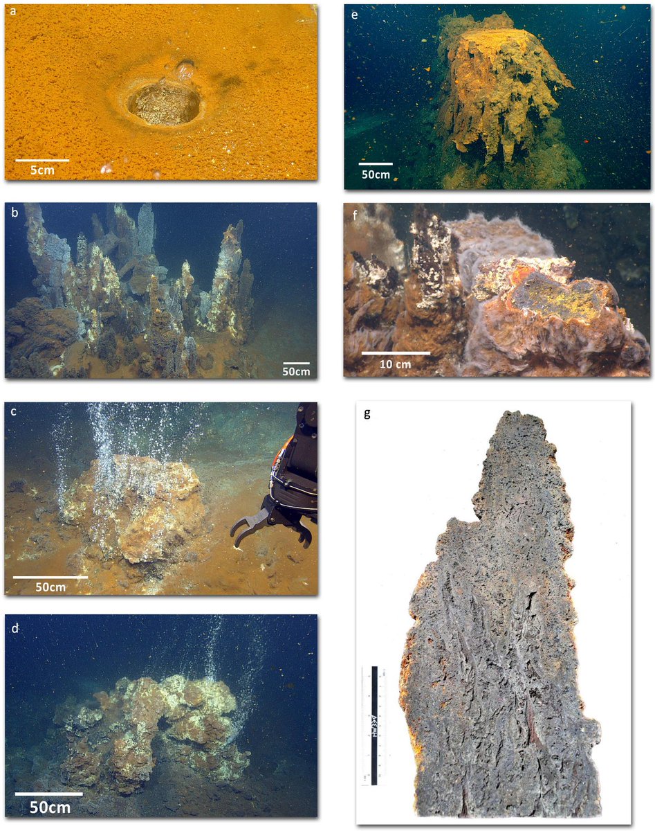Chimneys of Kolumbo submarine active volcano in eastern Mediterranean nature.com/srep/2013/1308…