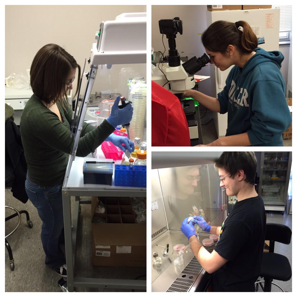 joseph_flaherty's tweet photo. Campus may be closed but the discoveries still happen @CokerCollege #cokerpride #hhsmobio #stuckinthelab http://t.co/RTM4eoAX0e