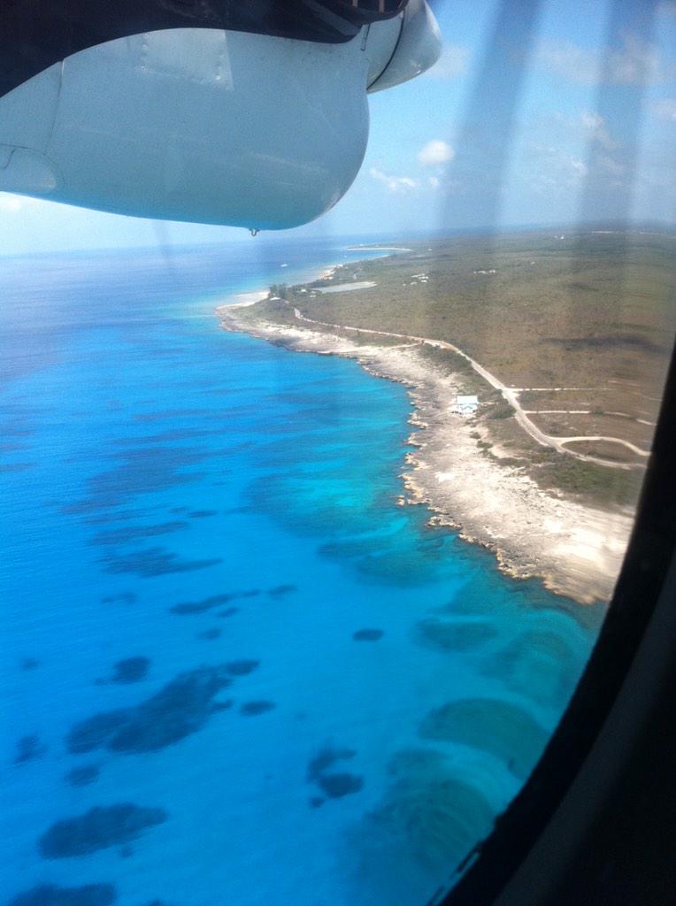 Agatha Capacchione tweet media