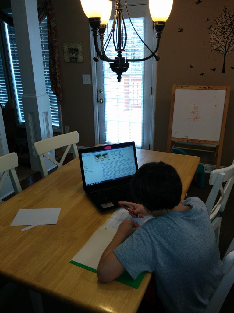 joneschristinal's tweet image. #snowday# bringonmoresnow  #snowdaylearning ⛄❄🙌