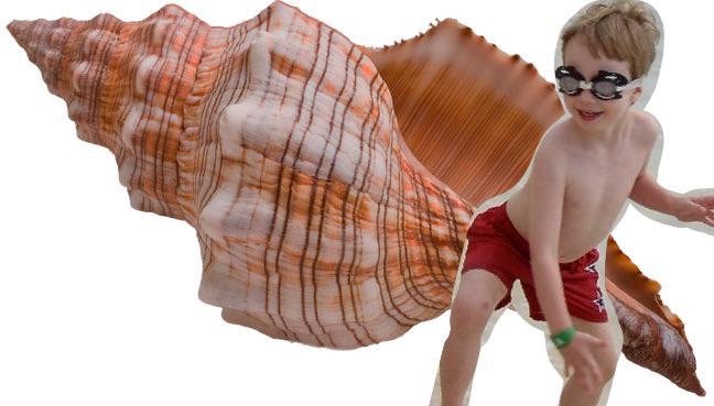 ahsnamepuns's tweet photo. (Shell)don Freudenreich http://t.co/N4TCEGgLyC