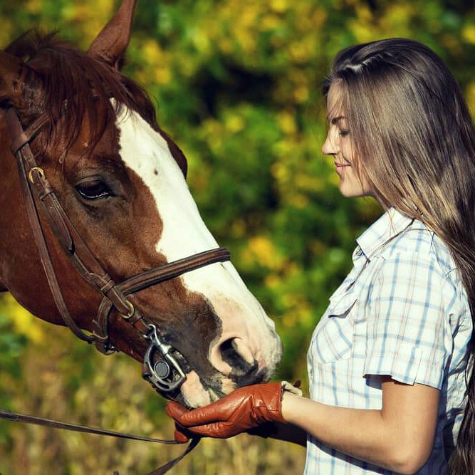 Sedona Sky Academy Is a Licensed Therapeutic Boarding School goo.gl/Ak4bOE