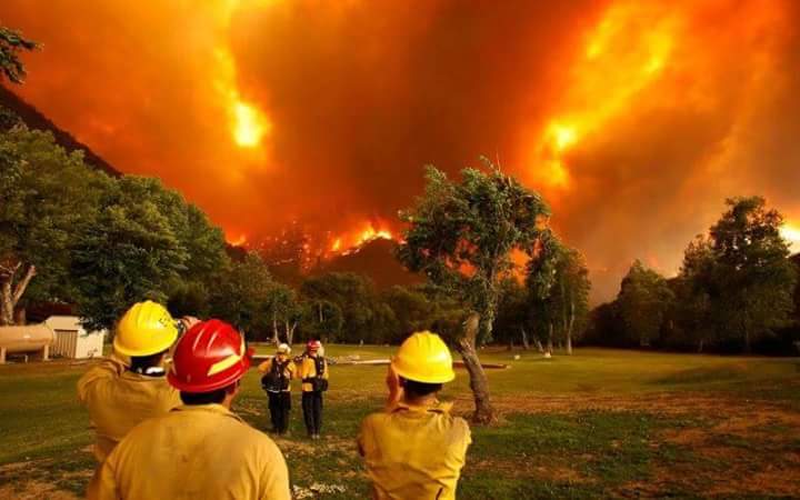 Dirazar's tweet photo. Tiene q circular y circular.. Se nos quema el bosque y no llega la ayuda necesaria @connieansaldi #UNIDOSAR AYUDA http://t.co/CEXhF8gPHq