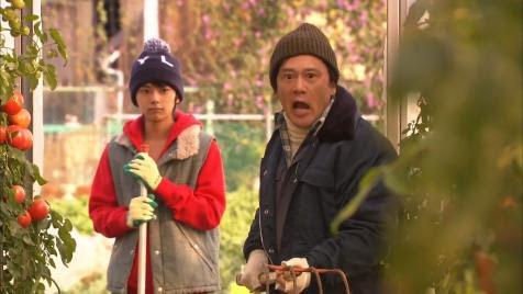 rearea_sk's tweet photo. トマトを大事に育てた少年の反抗期 http://t.co/a6OFCRMyCL