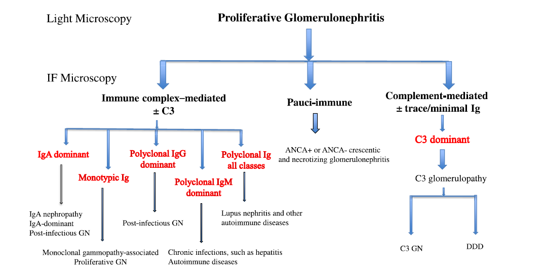 Etiology-Based Diagnostic Approach to Proliferative Glomerulonephritis (Sethi) bit.ly/1JJ7YqA
#Nephpearls