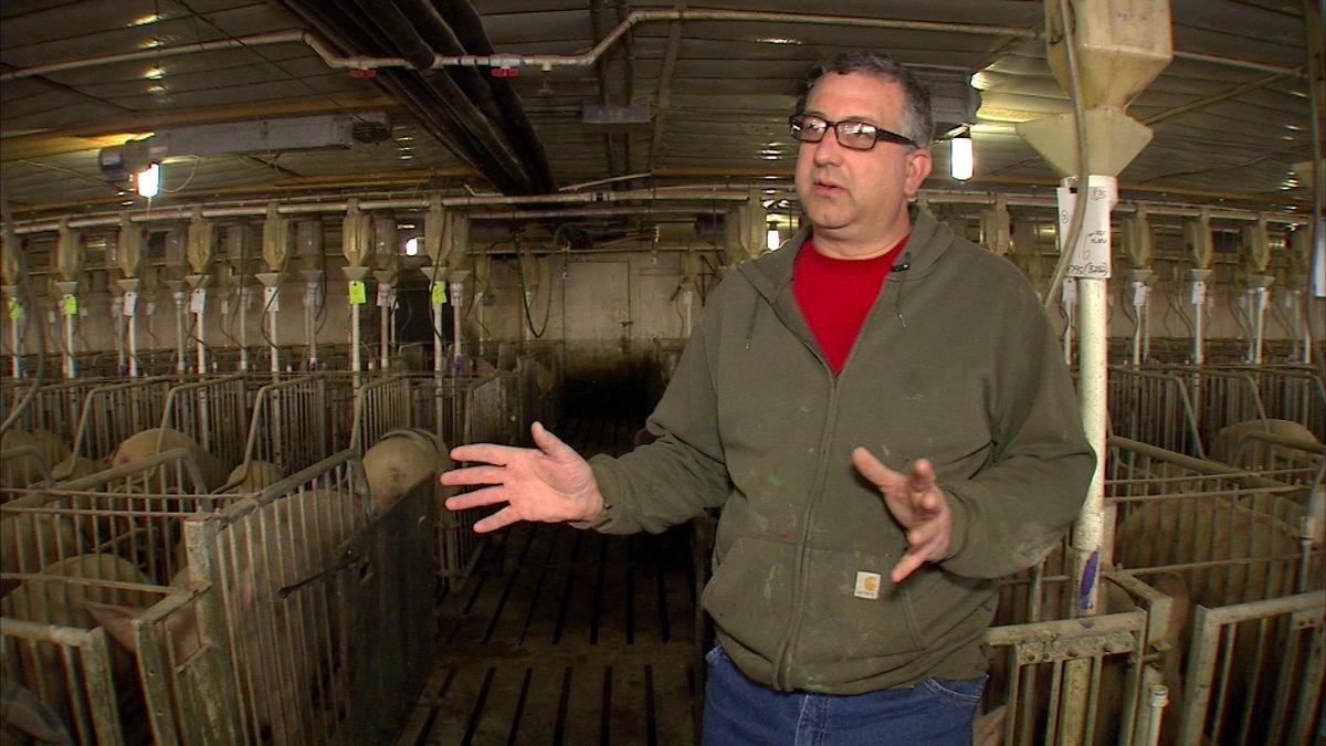 BobSegallWTHR's tweet photo. While many farms denied access to #13Investigtes cameras, @BelstraMilling welcomed us to its farms. Thank you. http://t.co/xmpmvi6E5s