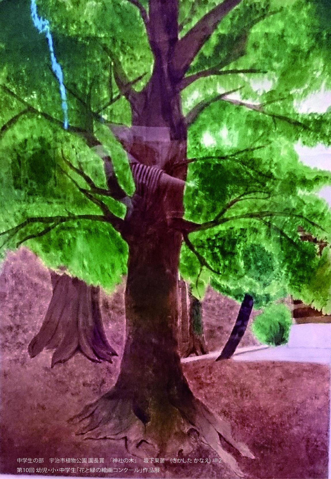 Twitter 上的 宇治市植物公園ucbpark 第10回 幼児 小学生 中学生 花と緑の絵画 コンクール作品展 を開催中 3 1まで小 中学生の部を展示しています 画像は宇治市植物公園 園長賞を受賞された坂下 果苗 さかした かなえ さんの作品 神社の木 です どっしり Twitter 上的 宇治市植物公園ucbpark 第10回 幼児 小学生 中学生 花と緑の絵画 コンクール作品展 を開催中 3 1まで小 中学生の部を展示しています 画像は宇治市植物公園 園長賞を受賞された坂下 果苗 さかした かなえ さんの作品 神社の木 です どっしり
