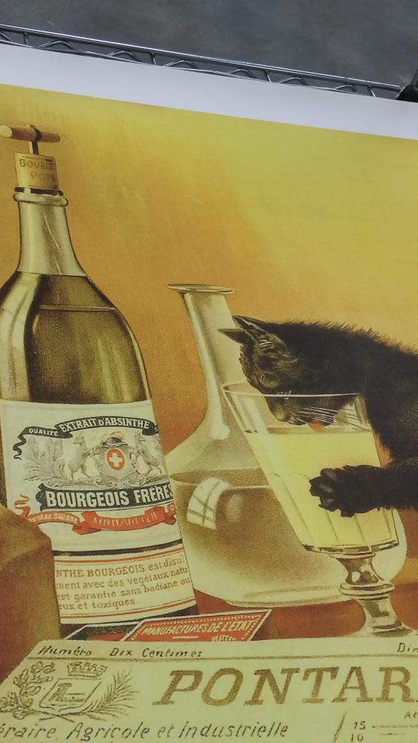 seamusdever's tweet photo. “@lovestanakatic2: ...this cat is n alcoholic &amp; need some help http://t.co/Ya6qMoOTcz” Maybe his owner is just absinthe-minded.