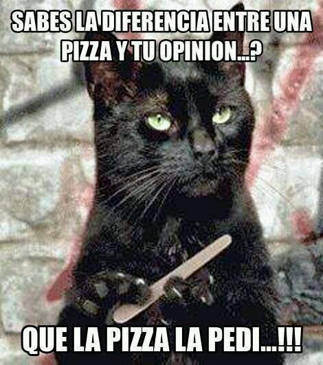 VivirenunTuper's tweet image. Sabes la diferencia entre una pizza y tu opinion???......es que la pizza la pedi   #frasesconhumor #frasesdivertidas