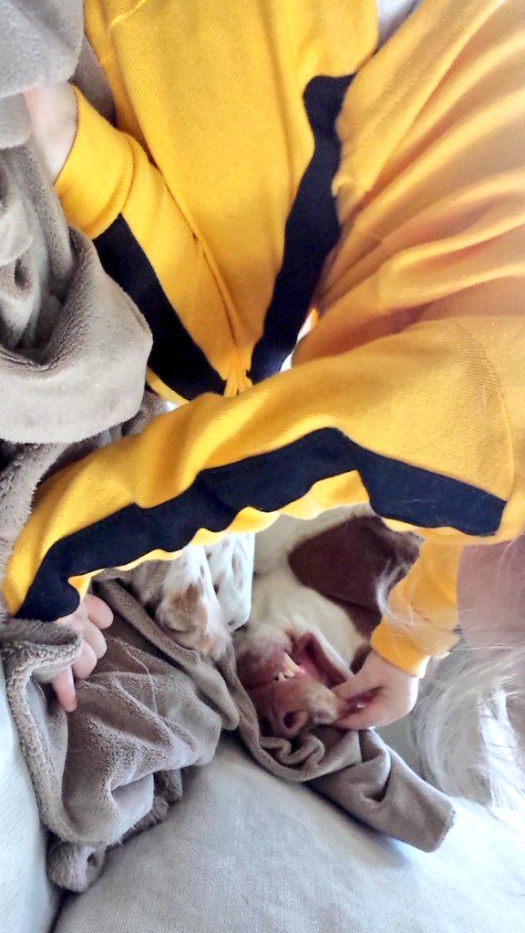 WafflesFritz's tweet image. World's worst dentist