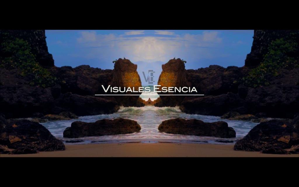 Visuales Esencia tweet media