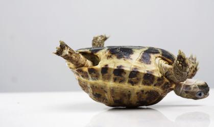 Who else feels lke this when they get out of bed every morning?!  Happy Wednesday everyone! Half way to the weekend!