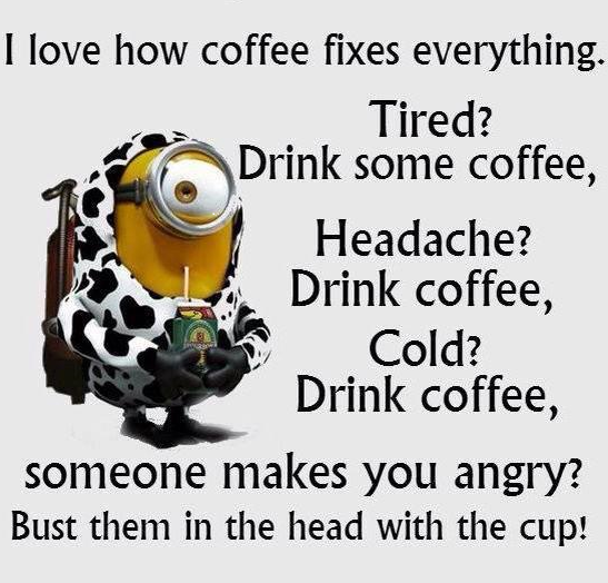 cokeaddict's tweet image. I don&apos;t care for #DespicableMe, but this meme is HILARIOUS!!! #coffee @touteparpillee @CG_031
