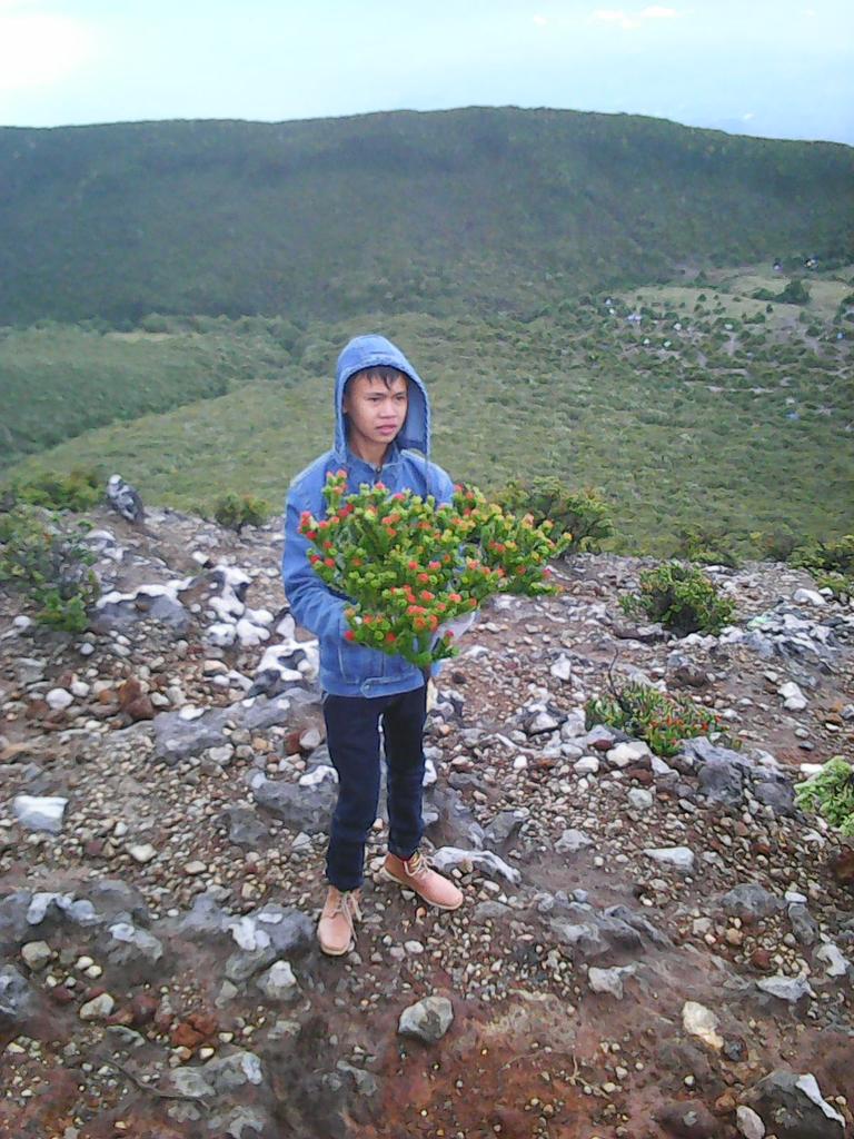 BestRayen's tweet image. 