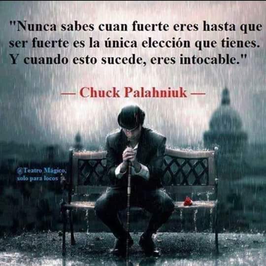 AntonioCapelRu1's tweet photo. #siemprefuerte#buenosdias http://t.co/QhZ4IJHNlO