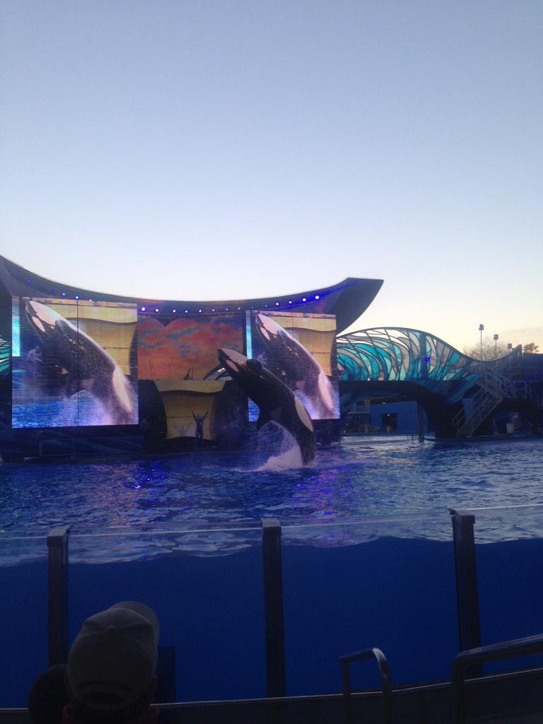 Vernyyyy's tweet photo. I wanna go back to hanging with Shamu http://t.co/aQLH7Ad8Sm