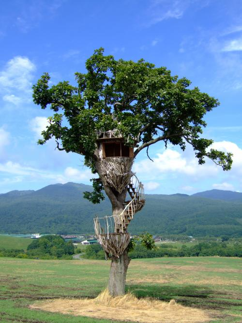 ツリーハウスの世界 Treehouseworld Twitter ツリーハウスの世界 Treehouseworld Twitter