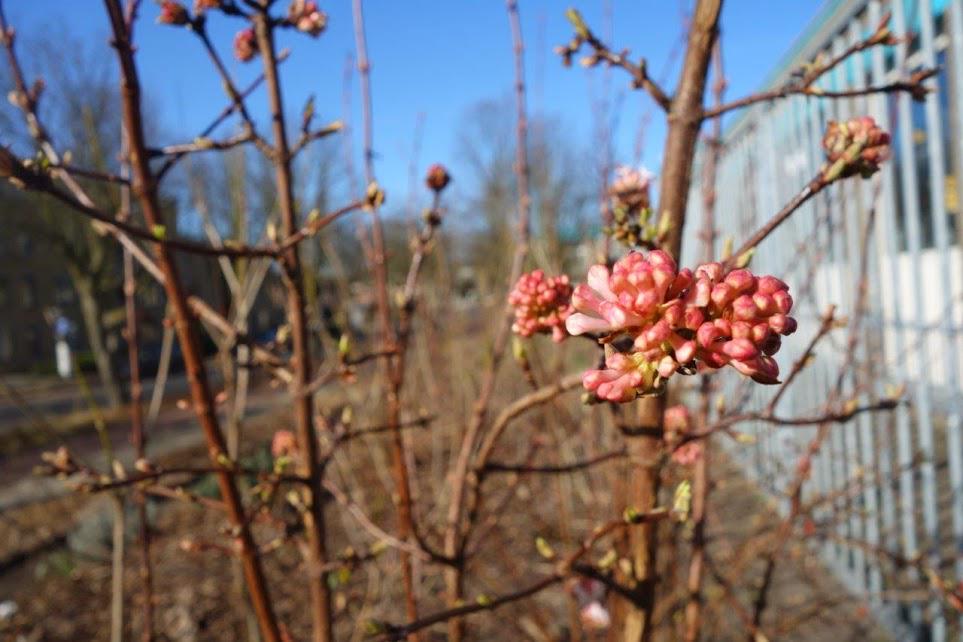 SCKrakeelpolderweg tweet media