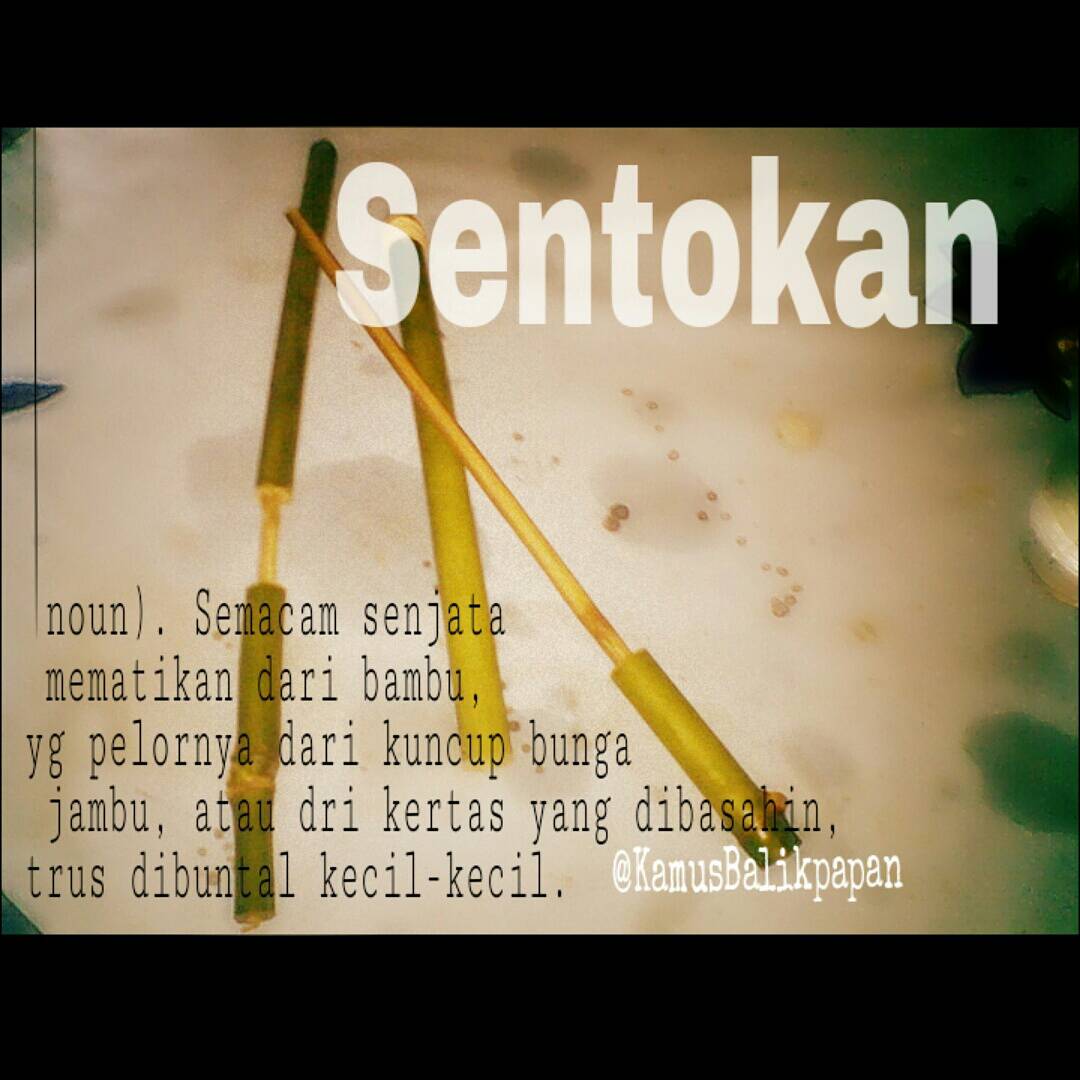 Sentok neh... #KamusBalikpapan #BalikpapanVocab #Sentokan #KosaBPN