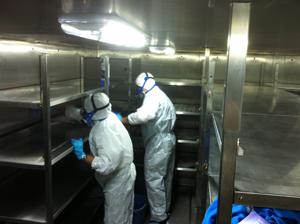 Limpieza y desinfección de cocinas, camaras frigorificas, ... Cádiz, Valencia, Barcelona higienetotal.es/limpieza-profe…