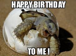 Tony Perry be like today....  Happy Birthday Tony!      