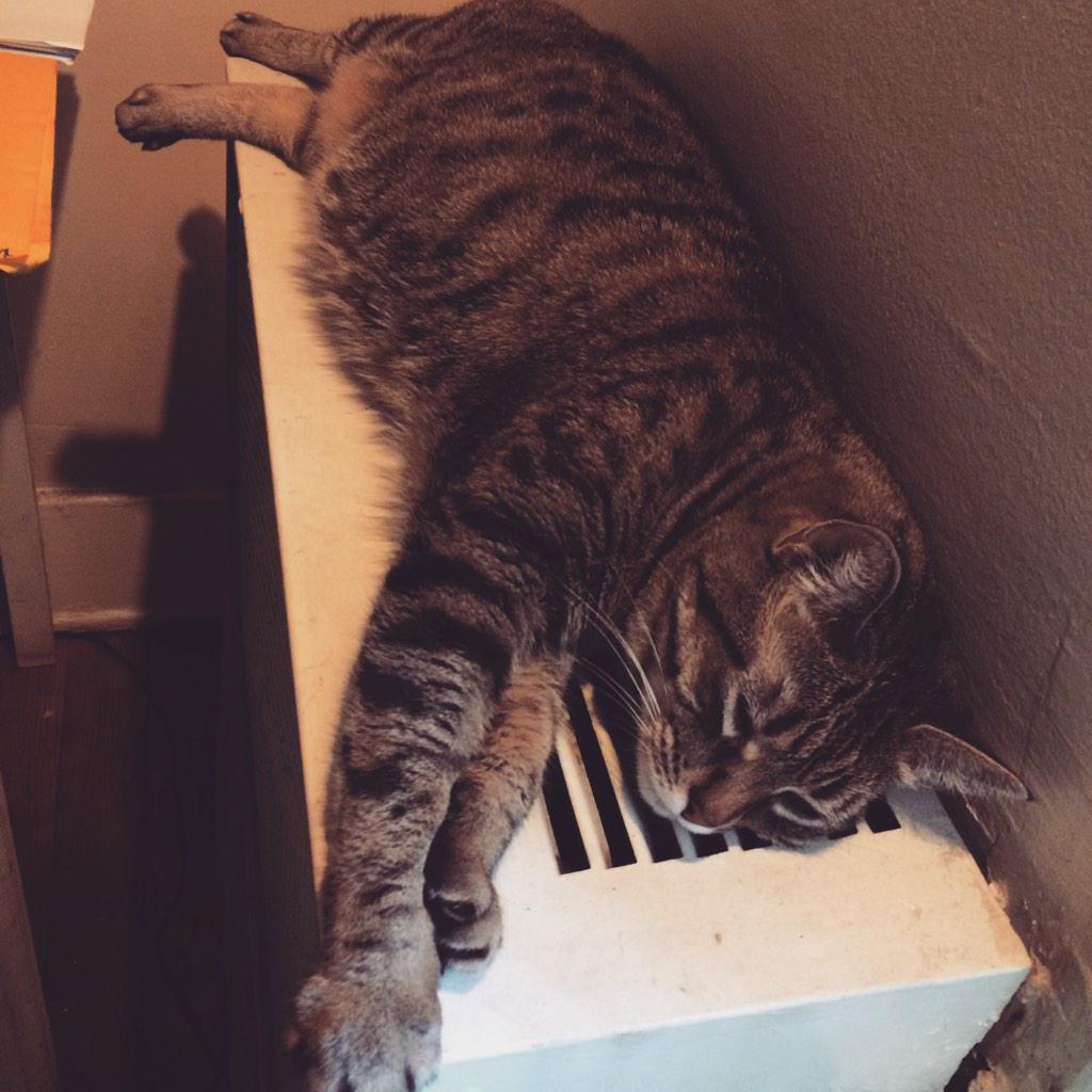 fmouthedfelines's tweet photo. "My life sucks!" you said, wishing you were in my pozish. #WCW #hateonhater http://t.co/3AcCtAFCBY