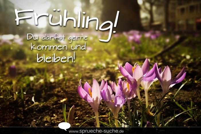 Frühlingsanfang Sprüche Lustig