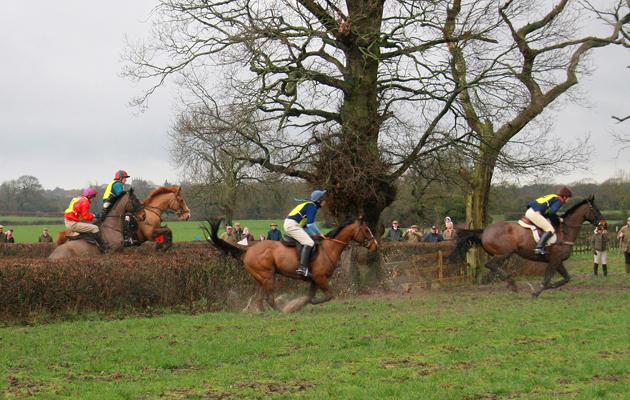 The Field tweet media