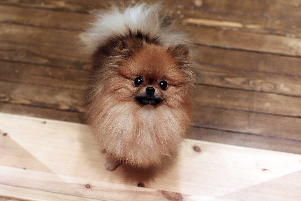 Tekstgården tweet media