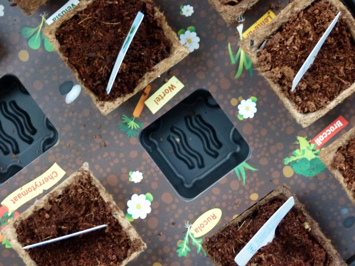Herhaling vandaag bij de foto voor  #anderskijken. Het AH moestuintje