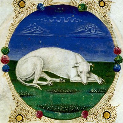 PiersatPenn tweet picture
