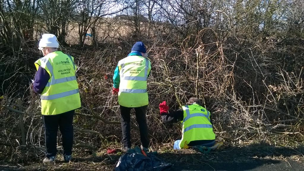 SusNEsupport's tweet image. Hedgelaying on NCN7 in Pelton with some great @sustransne volunteers.