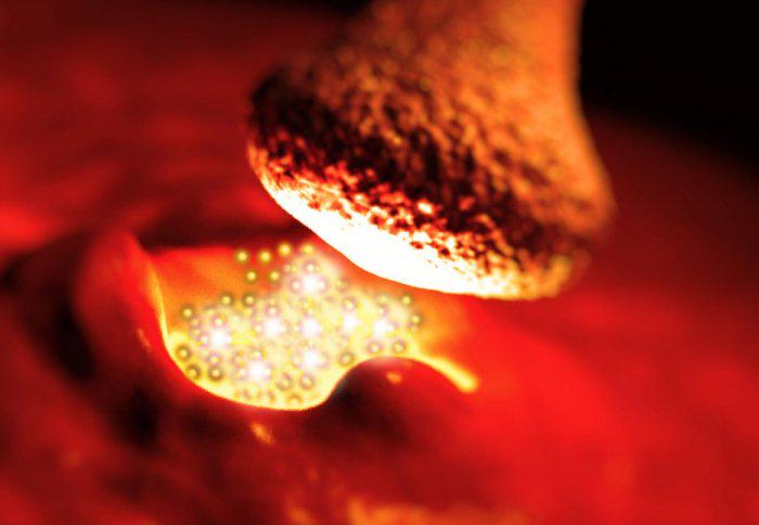 ImperialMed's tweet image. #ImpCol &amp;amp; @UCT_news study uncovers new role for neurotransmitter that helps fight infection www3.imperial.ac.uk/newsandeventsp…