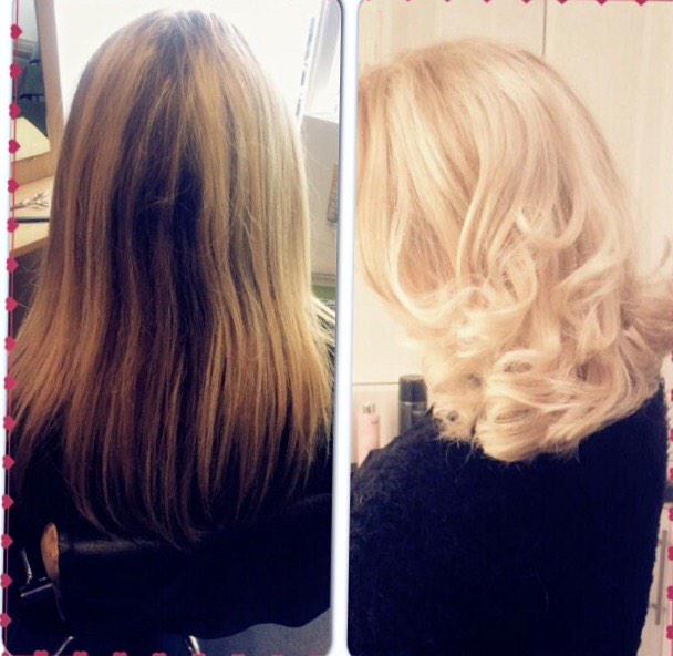 MADISON HAIR GARDEN tweet media