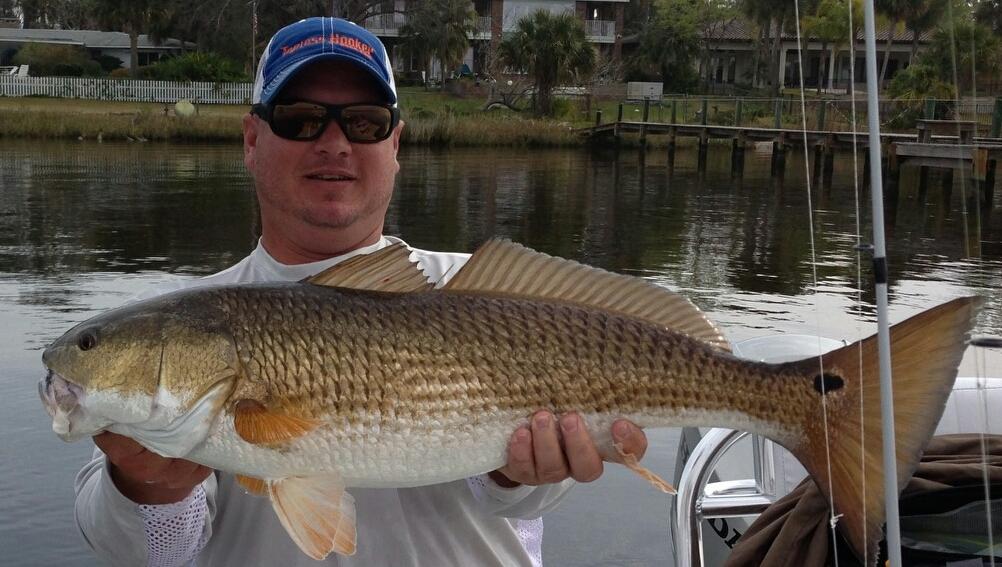 CaptBillyP's tweet photo. #comngetitcharters #smithisfishing #toplesshookergear #redfish #insorefishing #ormondbeach #DaytonaBeach #smithoptics http://t.co/2L0cwagydD