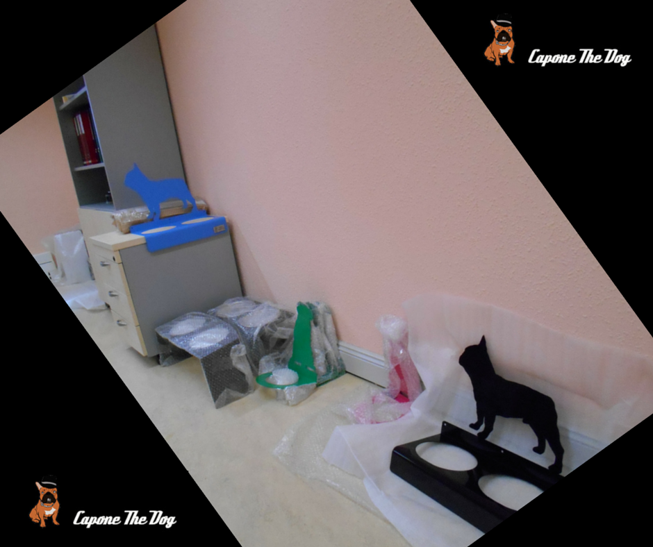 Cei Nodus Lugo tweet media