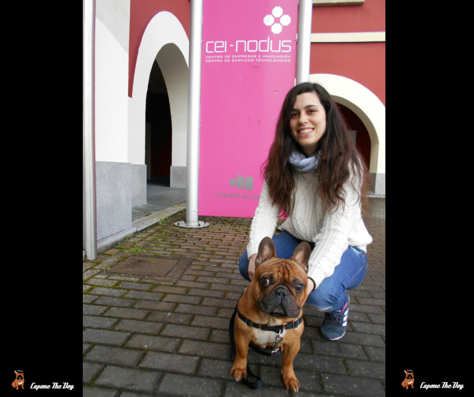 Cei Nodus Lugo tweet media